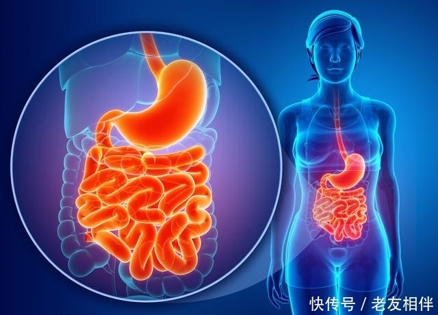 養(yǎng)生之道:呼吸過腰入腎,百病全消!你的氣能夠呼吸到哪里呢?