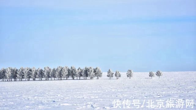 冬季|下雪啦！冬季来呼伦贝尔看雪吧！