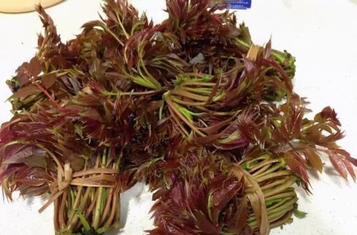  早好|对身体很好的3种食物，排毒养颜、滋补身体，早吃早好！