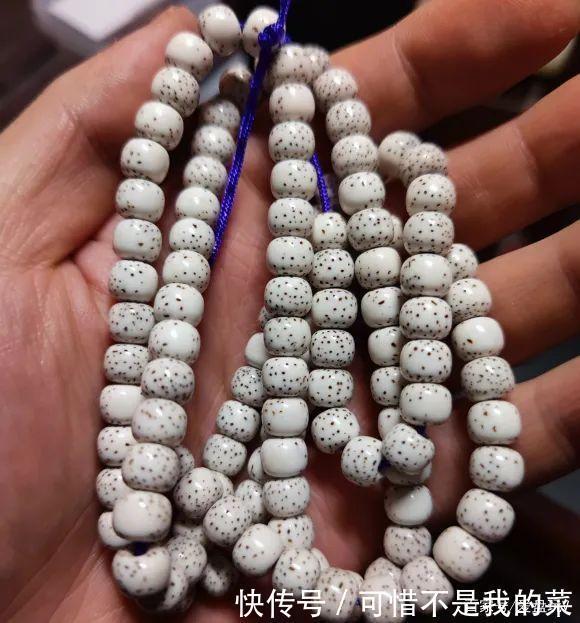 星月|一条星月,被玩出这么多花样,忒馋人!