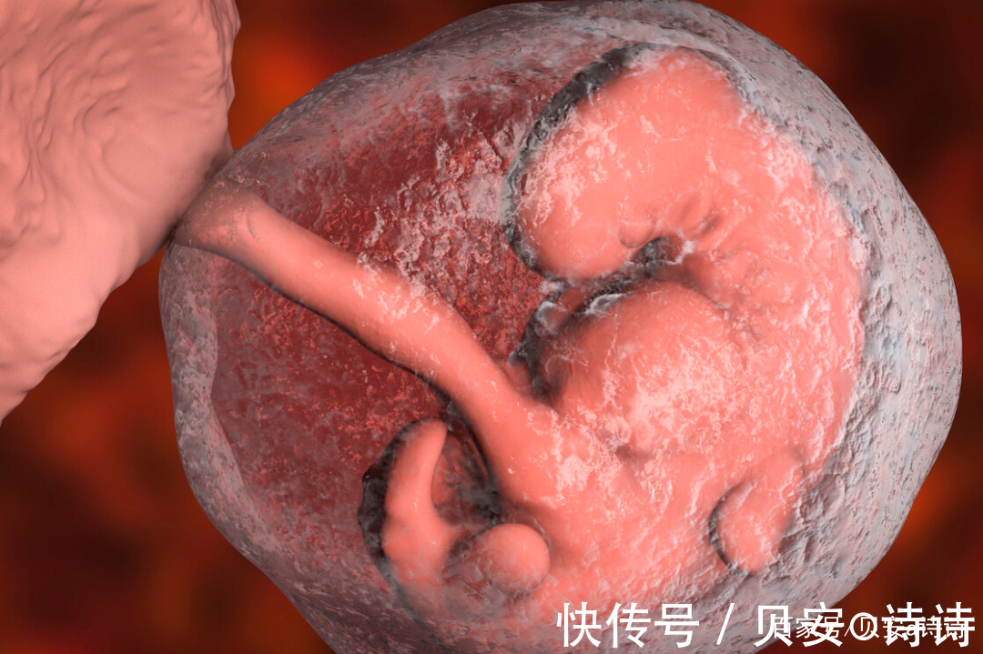 肺液|贝安健康：羊水为什么叫羊水