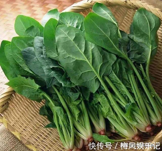 春天买菠菜,注意区分“红根”和“白根”,营养差别大,别买错了