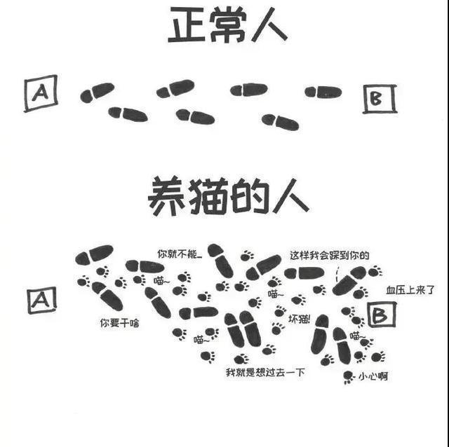 |搞笑图集：送了女朋友一个256G的苹果，结果她要和我分手