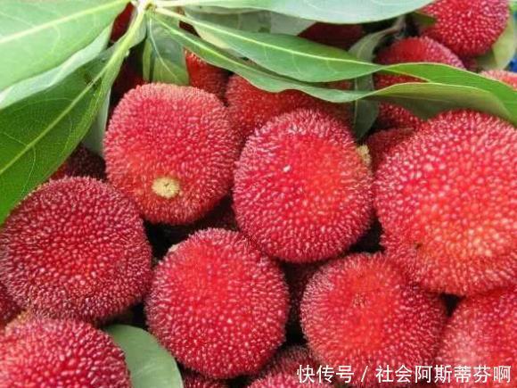 称为|常吃以下5种“水果”,不仅营养丰富,且可提神醒脑,早知早受益