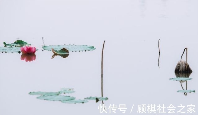 名与利#表面连朋友都没有的人,才是真正的智者,可是很多人不懂