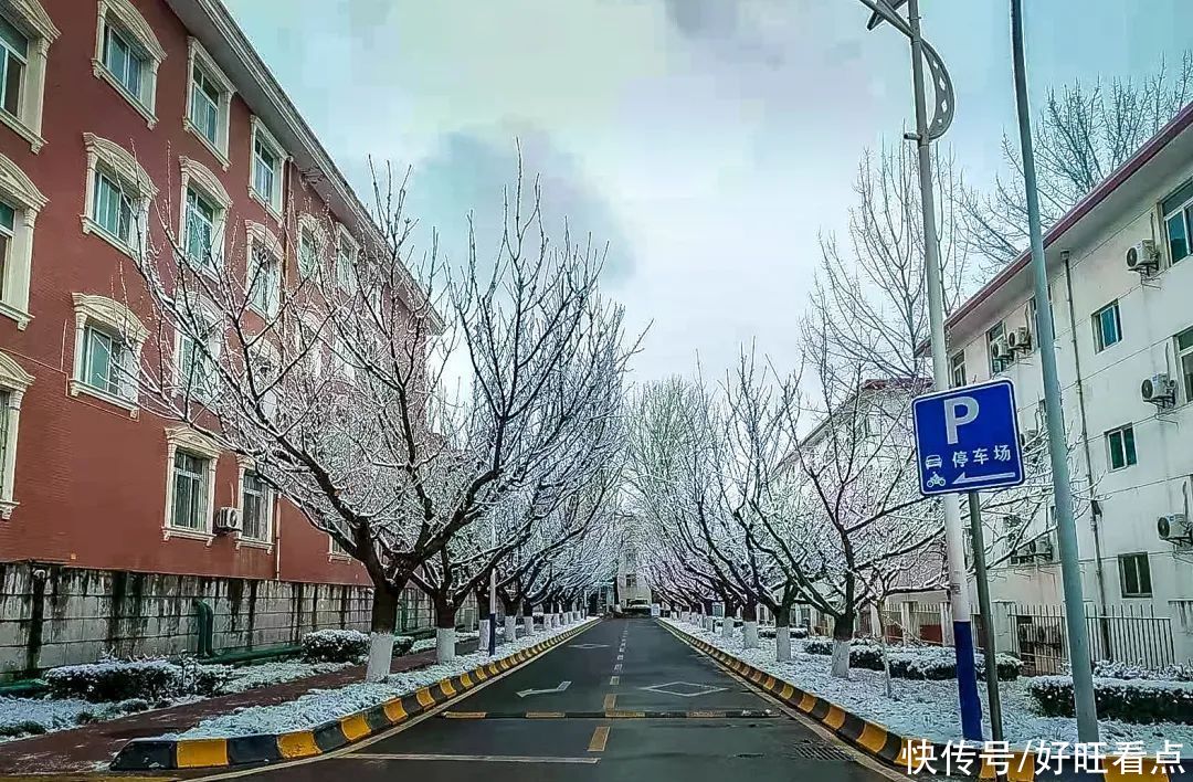 西安翻译学院：银装素裹雪景美如画