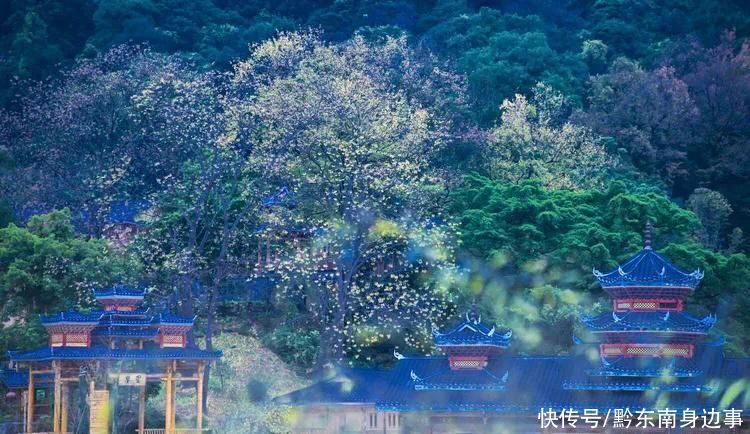 侗乡|情系侗乡访侗年