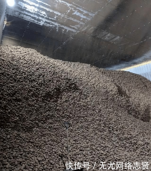 令人 22张“活久见”的照片,令人大开眼界!