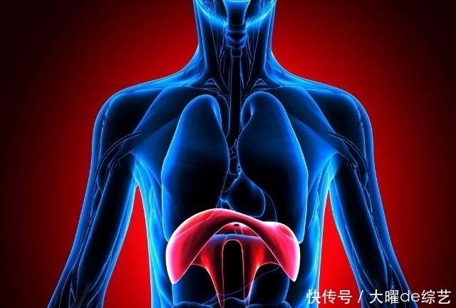 毒素|看“中指”就能看出肝的好坏,若没有这3个现象,那么,肝很健康