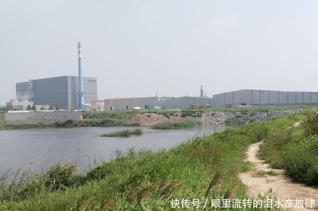 钓鱼只是玩玩,错!河沟里的鲫鱼、鲤鱼也能钓干净!