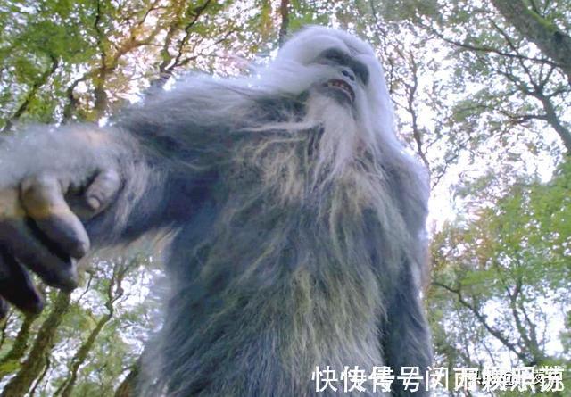 星斗大森林|斗罗大陆电视剧泰坦巨猿不足三米,像只狒狒?天青牛蟒却令人满意
