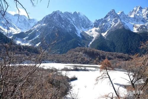 梅里雪山脚下的沙棘树