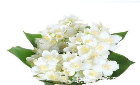 肤质|女性过了40岁,坚持常吃的食物,改善肤质,补充营养、滋补身体