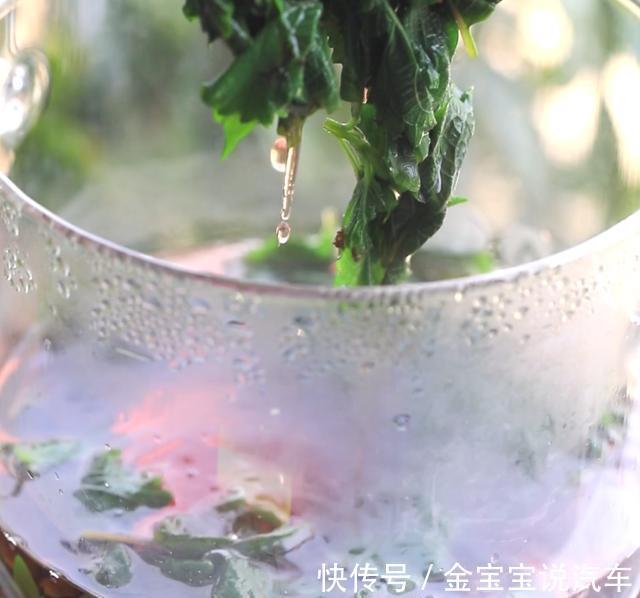 紫苏汁|紫苏用来做饮料？提神又解暑，老婆喝后都说这味道“不平庸”
