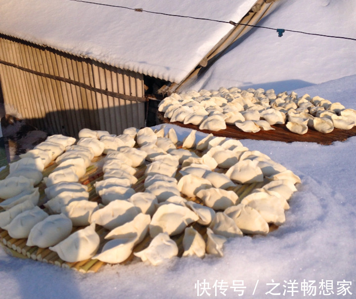 开裂|冻饺子时,直接放冰箱就废了,牢记“2要点”,饺子不粘连不开裂