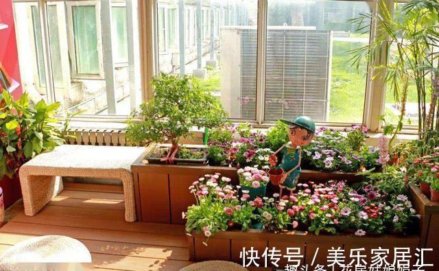 花草|6种花,早该进封闭阳台养殖“黑名单”,不要再当宝,该弃就弃了