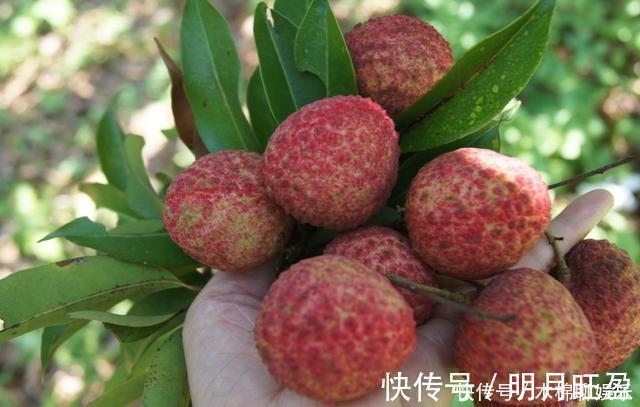 家长|3岁男童樱桃卡喉,父母两个“果断”令医生称赞,家长们也要学会