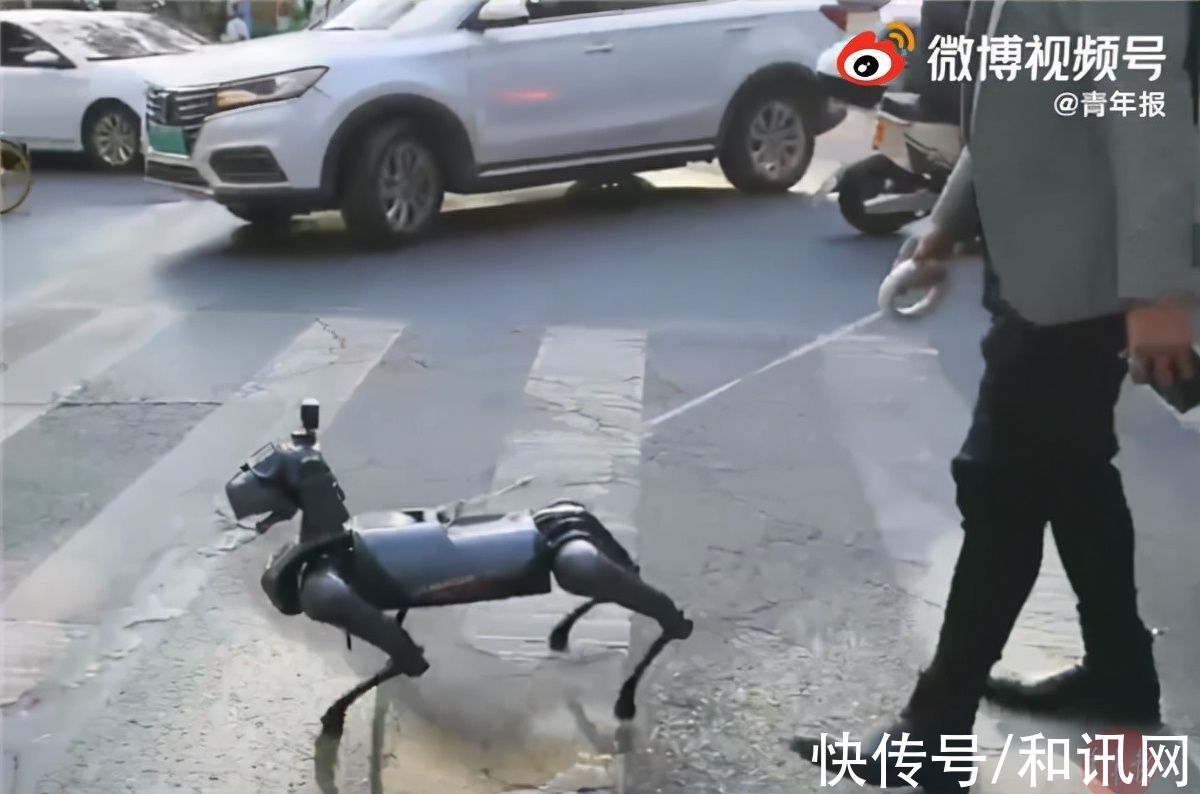 男子|很科幻！上海一男子街头遛机械狗上热搜，网友：小米铁蛋实锤