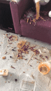 |搞笑GIF:厉害了,这样撩妹才叫帅!