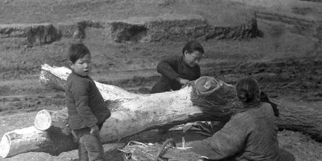 古代饥荒时,人们都抢着吃草根树皮观音土,为何没人抓鱼虾吃呢?