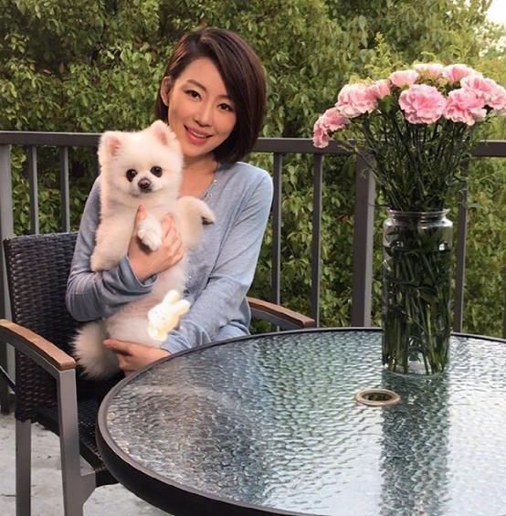 潘晓婷|带你看看潘晓婷的豪宅:家里只刷大白墙,装修却时尚又豪华