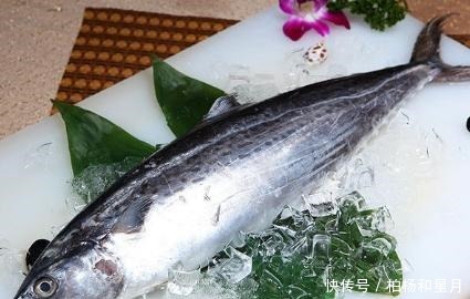 市场上这6种鱼放心购买,都是人工捕捞海鱼,营养丰盛,口感极佳