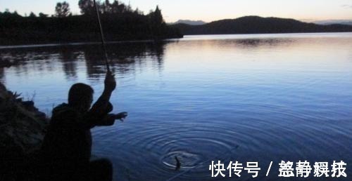 窝料|夜钓最好的机会来了!18条经验助你成功爆护!