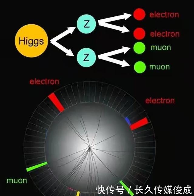神秘的μ介子,打破了已知的物理定律,正在挑战宇宙粒子标准模型