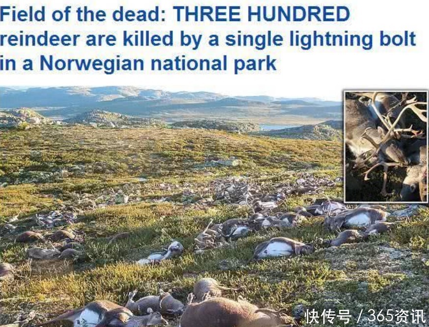 一道闪电是多少度电,闪电掉进海里,会电死多少鱼