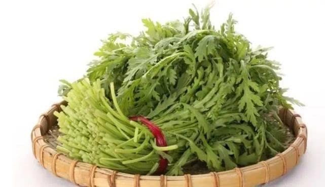 茼蒿|养护肝脏，多食二绿，常饮三水，按揉四穴