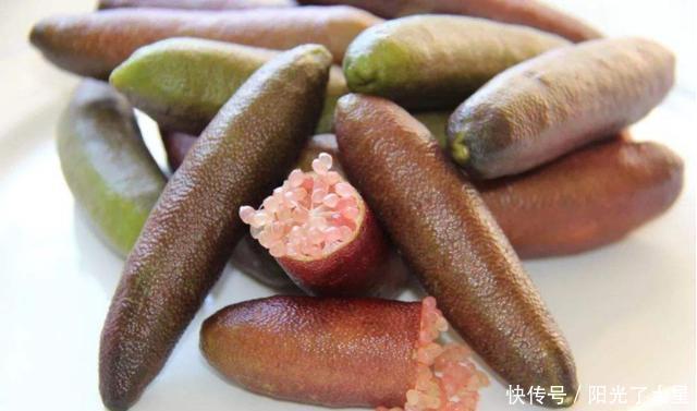 手指|指橙长得像手指的“橙子”,竟是水果中的鱼子酱