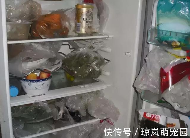 调味料|去闺蜜家发现,厨房没有一个塑料袋,做法真高级,拍给大家瞧瞧