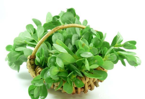 4种农村野菜，好吃又有营养，你吃过吗？