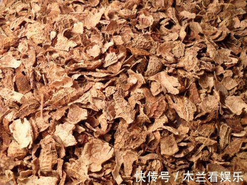 花盆|这2种“东西”丢掉可惜,掺在盆土里,养啥都旺!