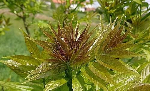 女性过了30，常吃3种食物，排毒养颜，美容护肤，让你变得更年轻