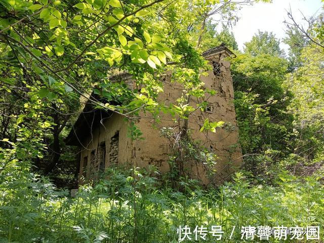 秦岭大山|好诡异！独自徒步空无一人的秦岭大山，突然出现一栋荒废的老屋