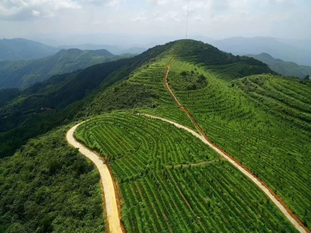 天空之镜|秋季限定：阳光正好，微风不燥，来万长山赴一场绝美之旅！