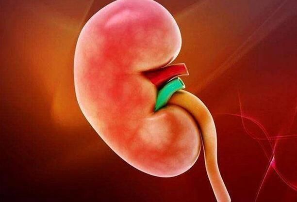 5個養(yǎng)腎小妙招，讓你在冬季里再也不怕冷！