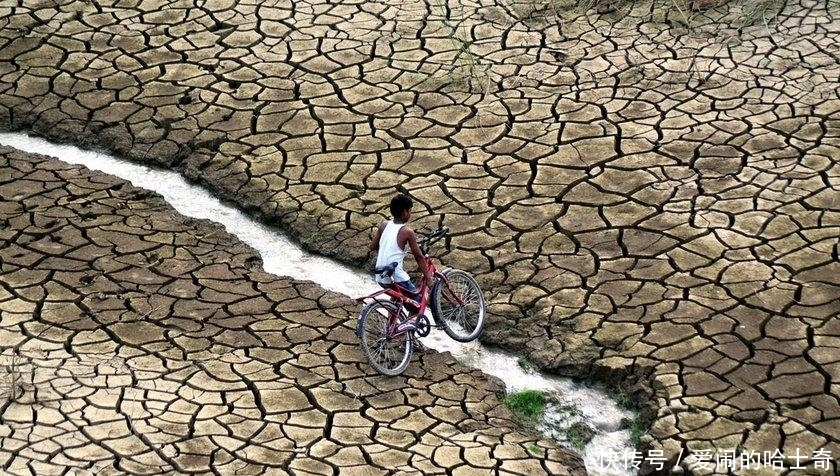 当全网都在催关晓彤给鹿晗庆生时,一场关乎全人类的灾难正悄然降临……