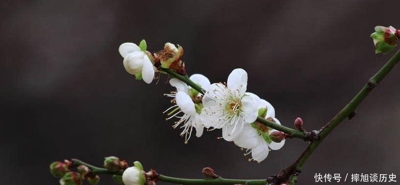 公卿#古代最有文化的8句骂人古诗,十分高雅,没文化的还以为是在被夸