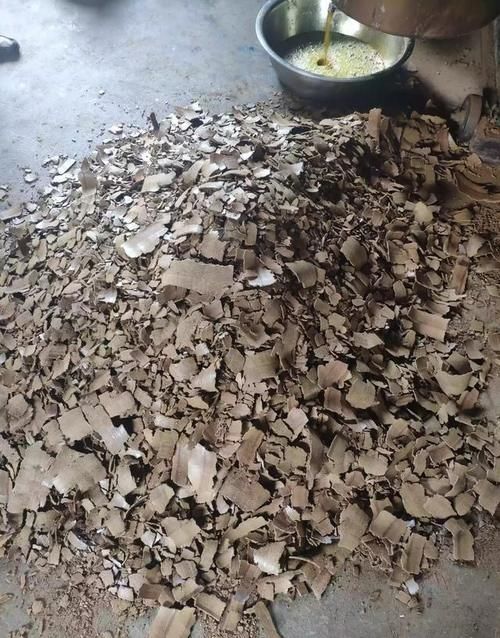 菜籽饼怎么做窝料?