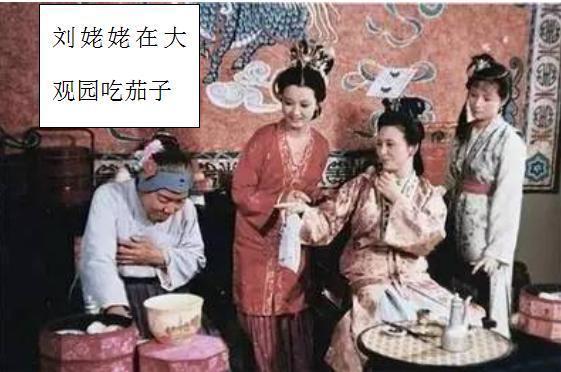 茄子起源本土并不是,它背后隐藏着几千年的历史文化!