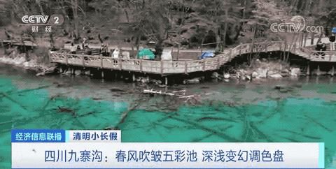 一晚1200元!泰山游客挤厕所过夜 景区:正常客流!