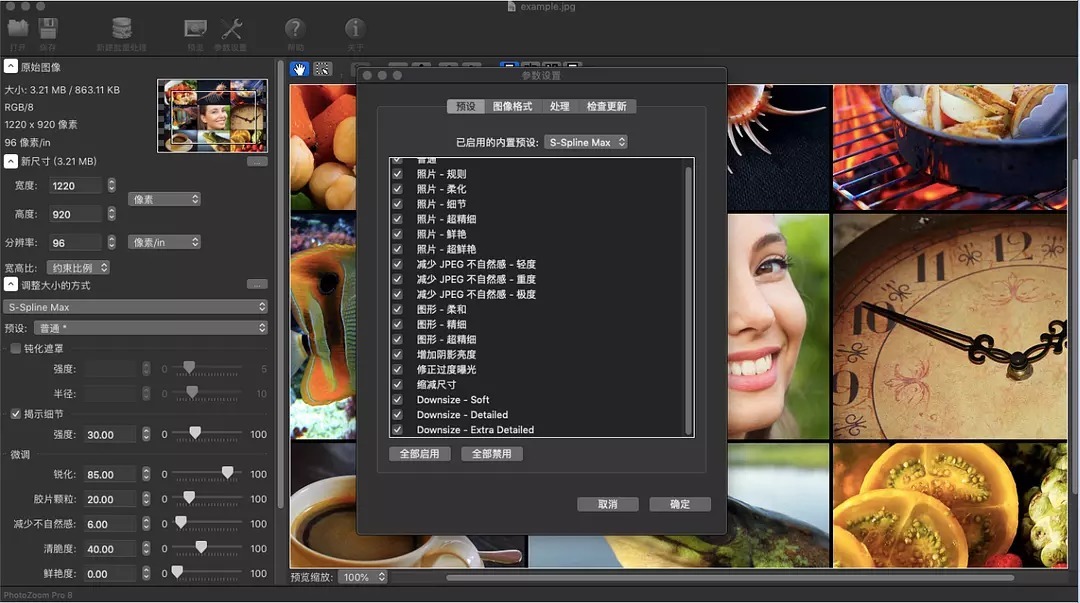 PhotoZoom Pro v8.1专业破解版+Photoshop插件版-423下载站