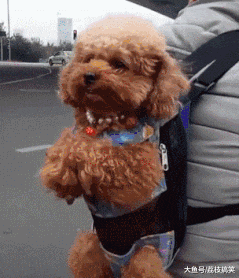 |搞笑GIF趣图:他爸打他三天三夜都舍不得休息吧?