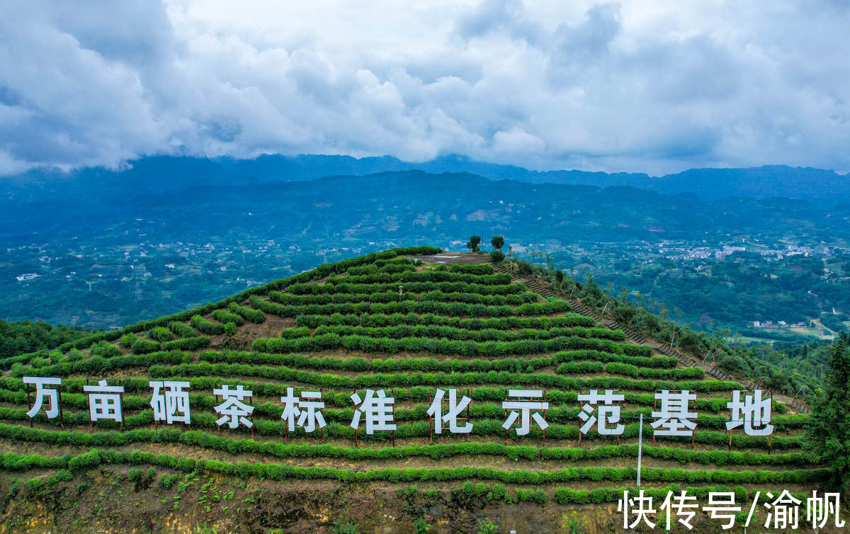 土壤|重庆江津：中国长寿之乡，富硒名城，适合养老与旅行的硒望之城