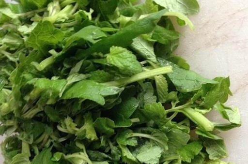 我家每年必吃,是菜也是药,用来炒鸡蛋比香椿还香,有花盆就能种