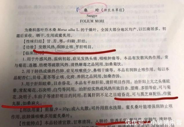 桑叶|一味桑叶补骨髓，止盗汗，清肝明目润肺止咳就看你会不会用
