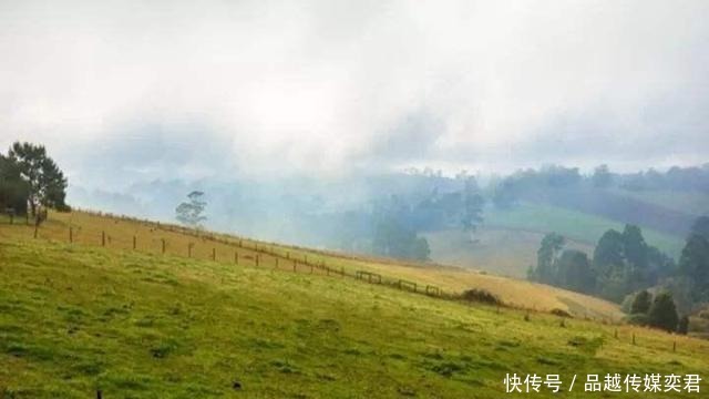  写下|韦应物与朋友重逢，感慨岁月流逝写下一首诗，其中一句广为流传