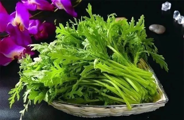 通腑利肠|失眠很怕这菜，2元一斤，隔三差五吃一次，一觉睡.到大天亮！